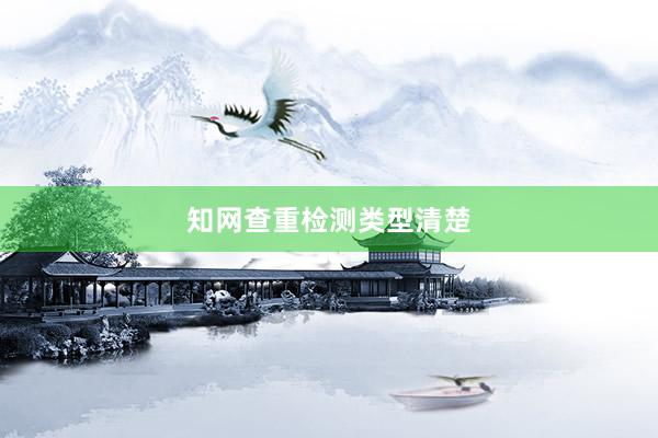 知网查重检测类型清楚
