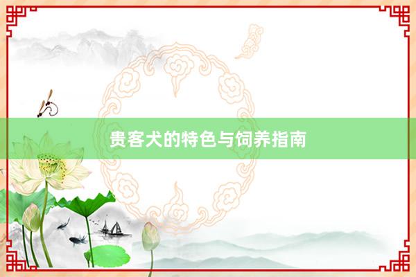 贵客犬的特色与饲养指南